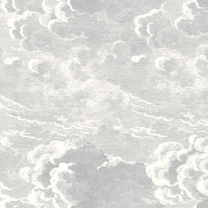 Cole & Son Nuvolette Soot/Snow Wallpaper Sample 114/28055.CS.0