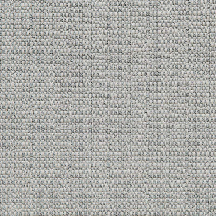 Calvin Kapa (ls) Lava Rock Fabric Sample 11477