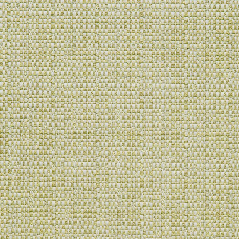 Calvin Kapa (ls) Kiwi Fabric 11480