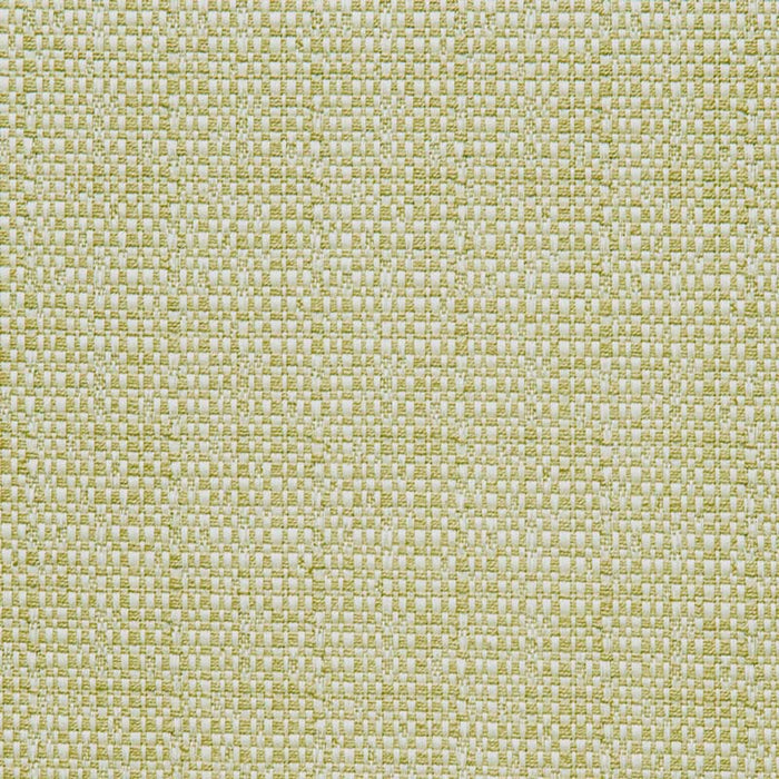 Calvin Kapa (ls) Kiwi Fabric Sample 11480