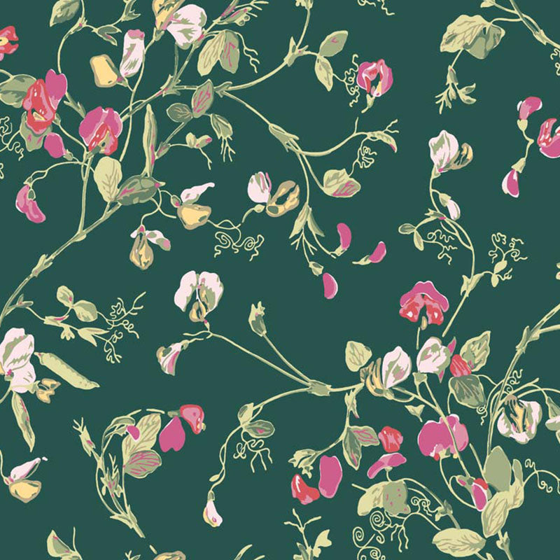 Cole & Son Sweet Pea Cerise/Magen/Vrdn Wallpaper Sample 115/11033.CS.0