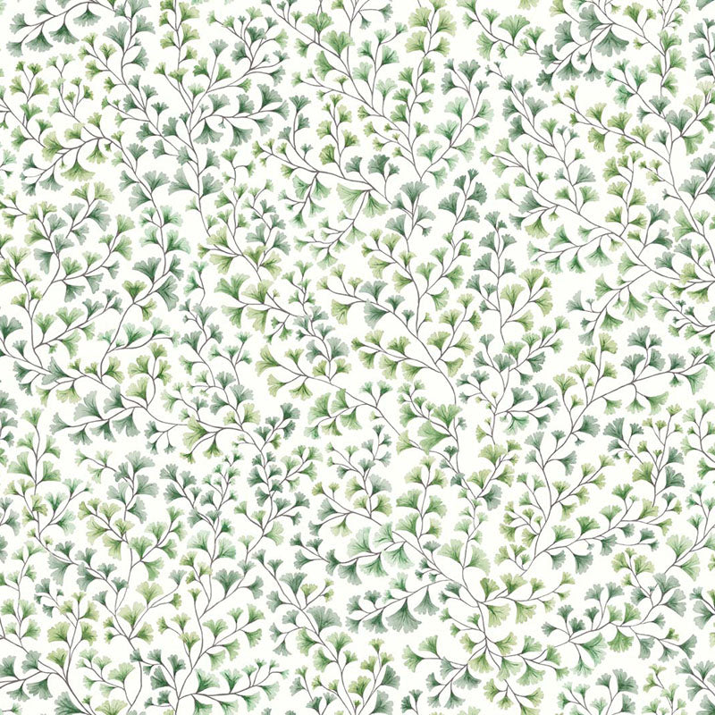 Cole & Son Maidenhair Olive Wallpaper Sample 115/6018.CS.0