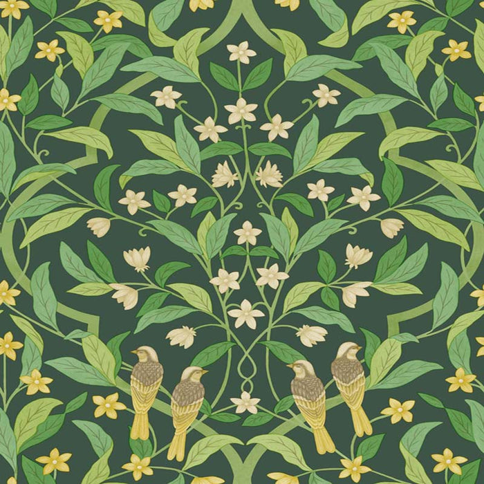 Cole & Son Jasmine & Serin Symphony Yellow/Grn/Forest Wallpaper Sample 117/10029.CS.0