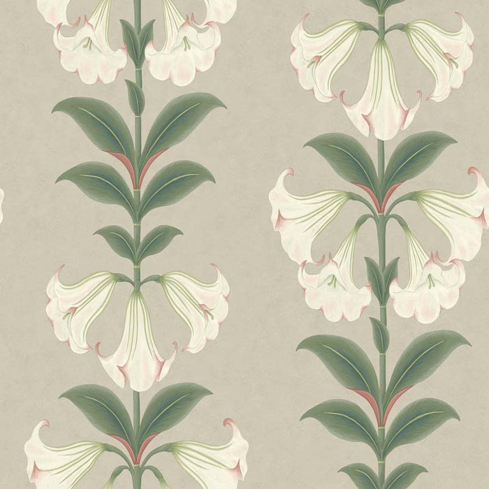 Cole & Son Angels Trumpet Chalk & Sage On Stone Wallpaper Sample 117/3007.CS.0