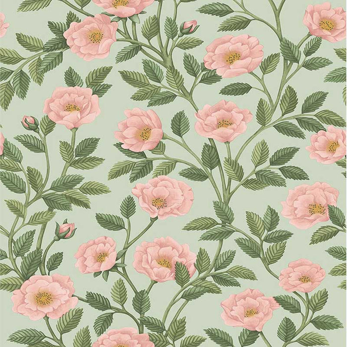 Cole & Son Hampton Roses R&Lgrn/Degg Wallpaper Sample 118/7014.CS.0