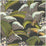 Cole & Son Hoopoe Leaves Olive Black Wallpaper Sample 119/1002.CS.0