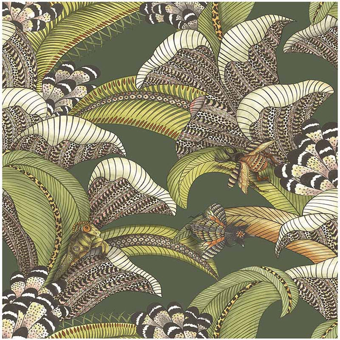 Cole & Son Hoopoe Leaves Spring Green And Coral Wallpaper Sample 119/1003.CS.0