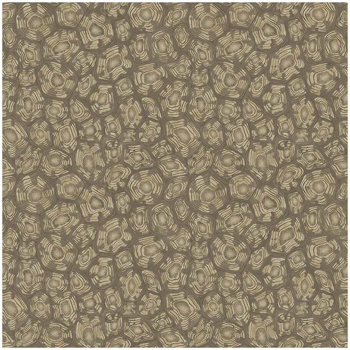 Cole & Son Savanna Shell Gilver Wallpaper Sample 119/4020.CS.0