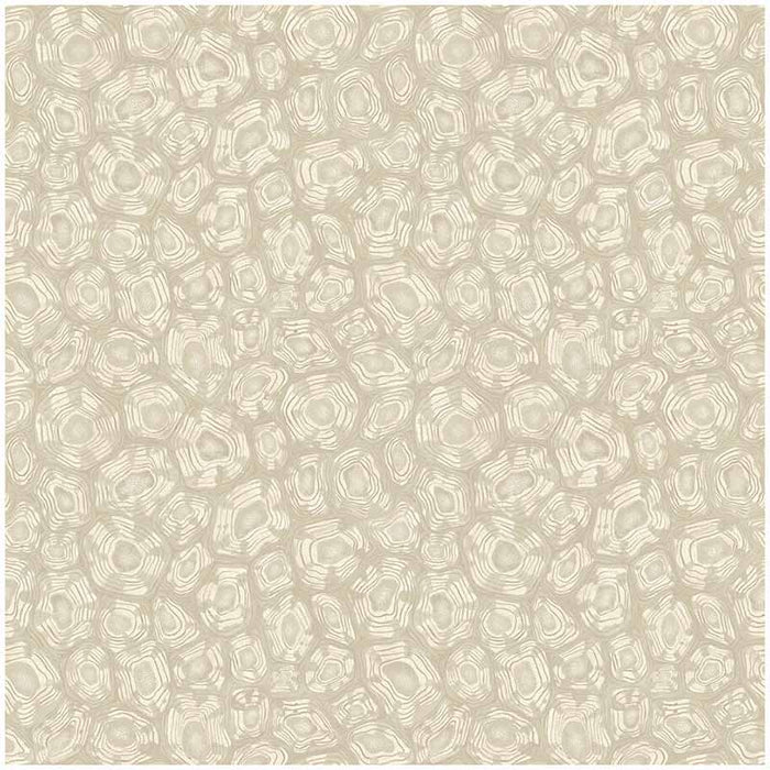 Cole & Son Savanna Shell Parchment Wallpaper Sample 119/4021.CS.0