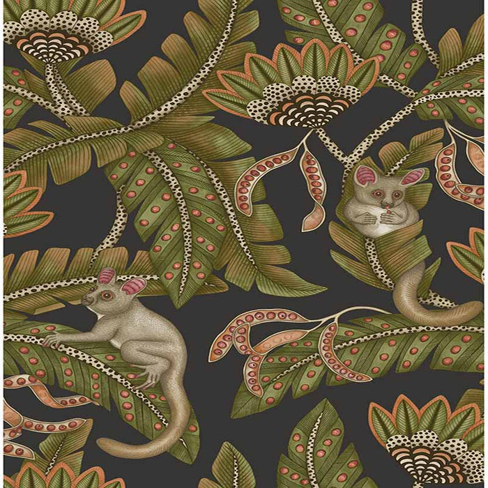 Cole & Son Bush Baby Spgrn&Orng/Blck Wallpaper Sample 119/7031.CS.0