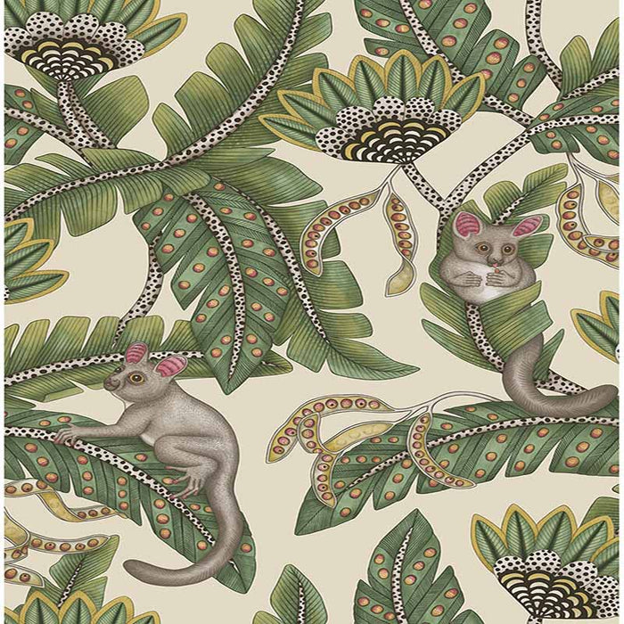 Cole & Son Bush Baby Sge&Chrt/Prchmnt Wallpaper Sample 119/7035.CS.0