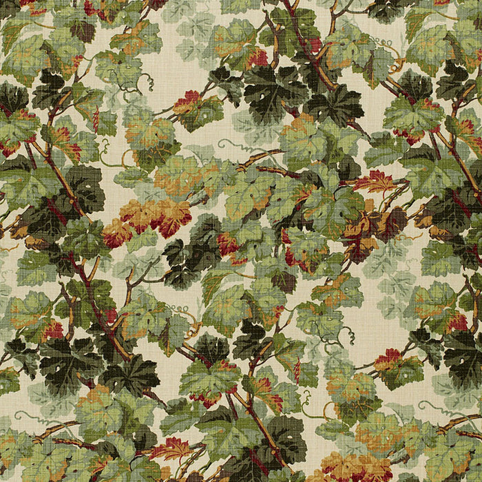 Schumacher Arbor Vine Document Fabric 1212012