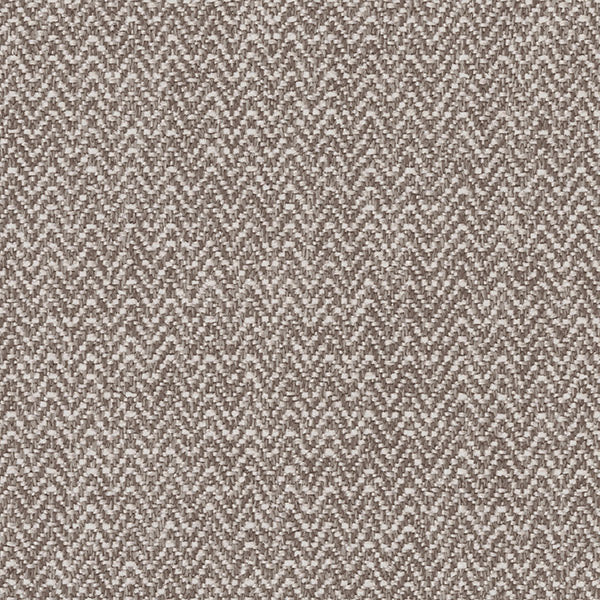 Brentano Himalaya Silverfox Fabric Sample 1228-02