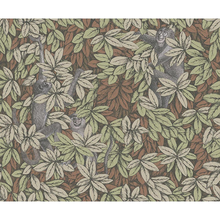 Cole & Son Foglie E Scimmie Orange Wallpaper Sample 123/10047.CS.0