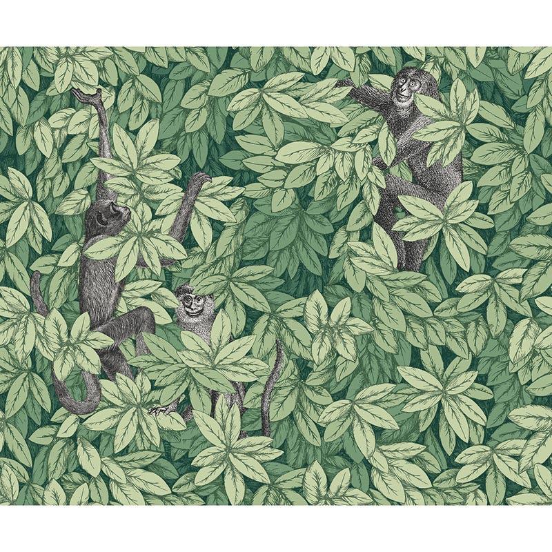 Cole & Son Foglie E Scimmie Green Wallpaper 123/10049.CS.0