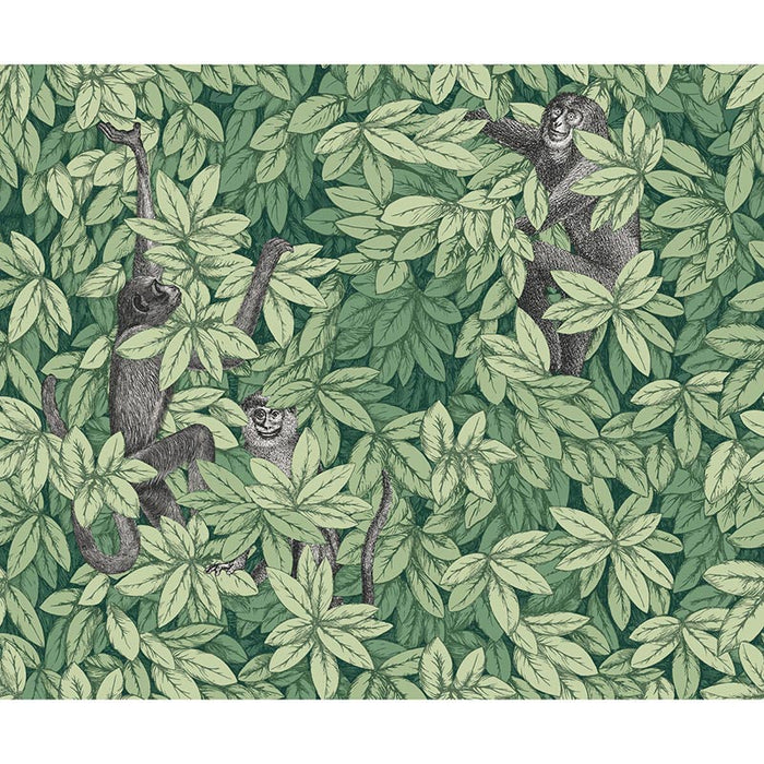 Cole & Son Foglie E Scimmie Green Wallpaper 123/10049.CS.0