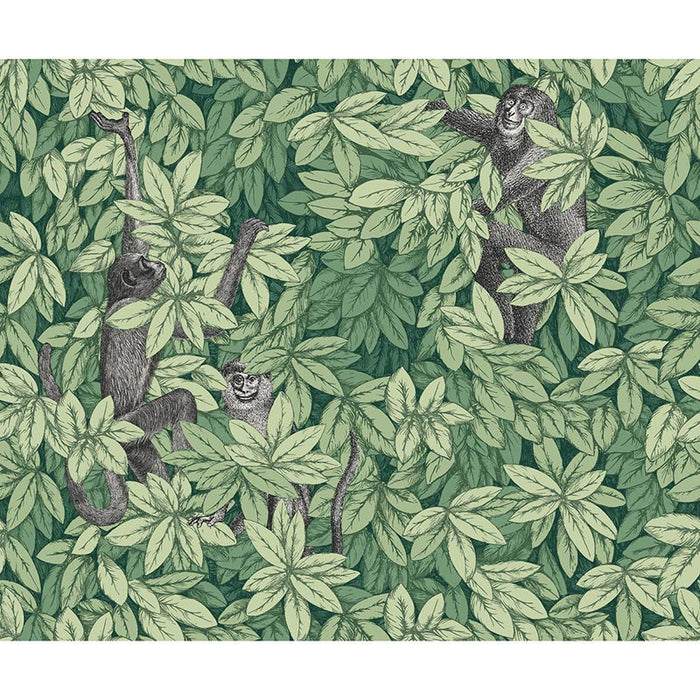 Cole & Son Foglie E Scimmie Green Wallpaper Sample 123/10049.CS.0