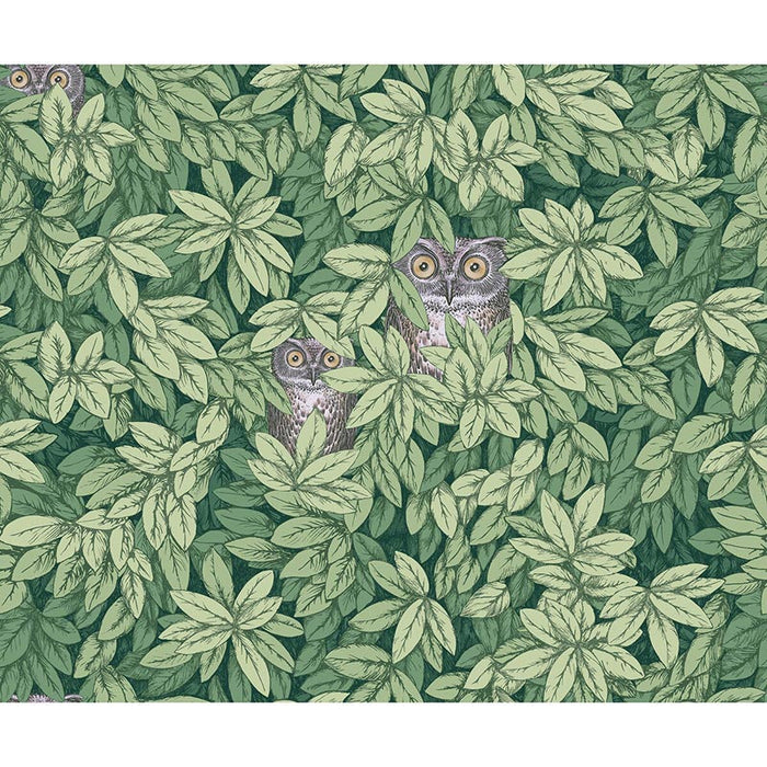 Cole & Son Foglie E Civette Green Wallpaper Sample 123/11054.CS.0