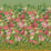 Designers Guild Fleurs D''artistes Panel  2 Sample Sample PDG1170-02