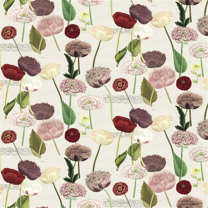 John Derian Poppy Study 1 Fabric FJD6054-01