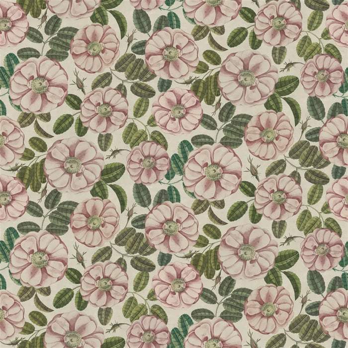 John Derian La Rose 1 Fabric FJD6055-01