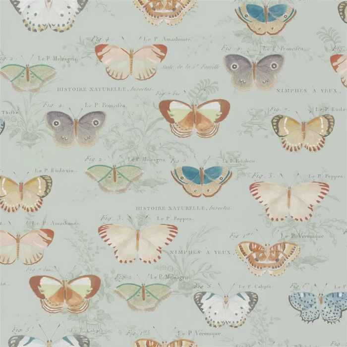 John Derian Butterfly Studies 3 Wallpaper PJD6017-03