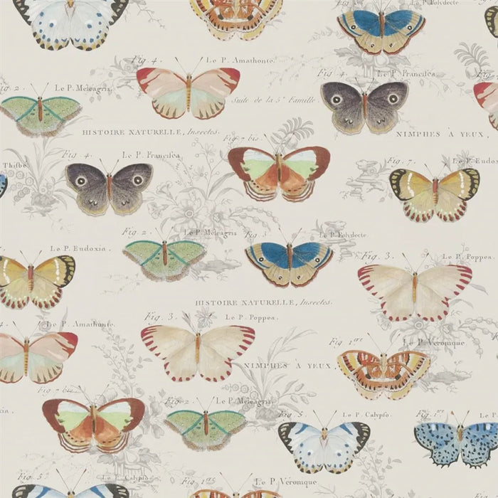 John Derian Butterfly Studies 1 Wallpaper PJD6017-01