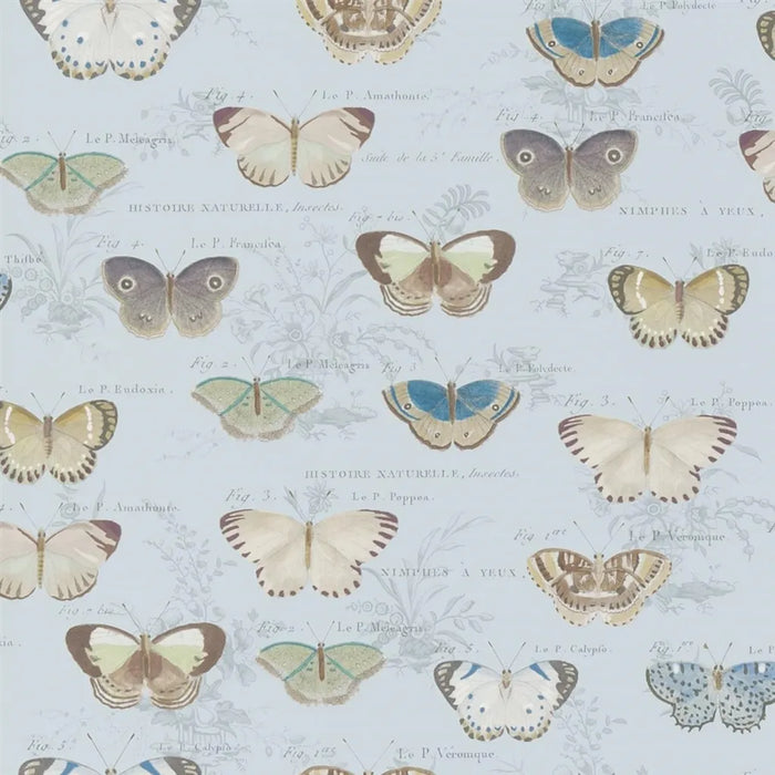 John Derian Butterfly Studies 2 Sample Sample PJD6017-02