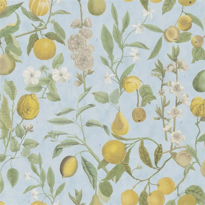 John Derian Orchard Fruits 2 Wallpaper PJD6018-02