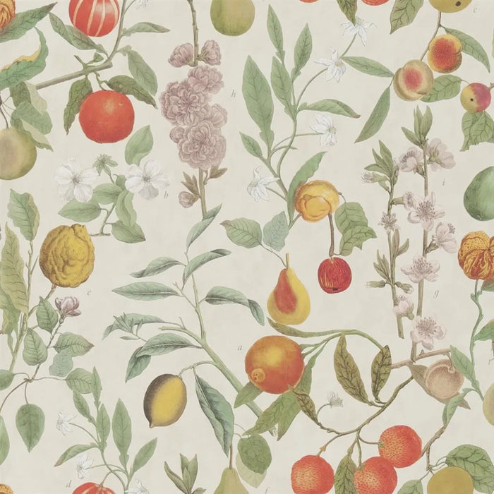 John Derian Orchard Fruits 1 Wallpaper PJD6018-01