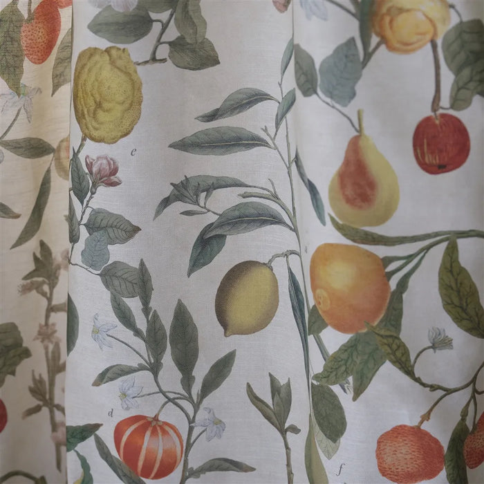 John Derian Orchard Fruits 1 Fabric FJD6059-01