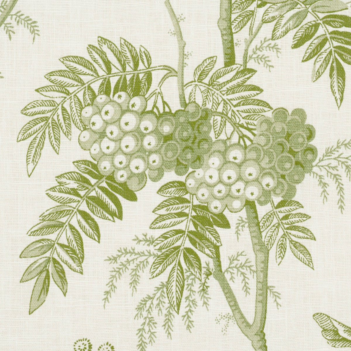 Schumacher Brantwood Vine Leaf Fabric 174114