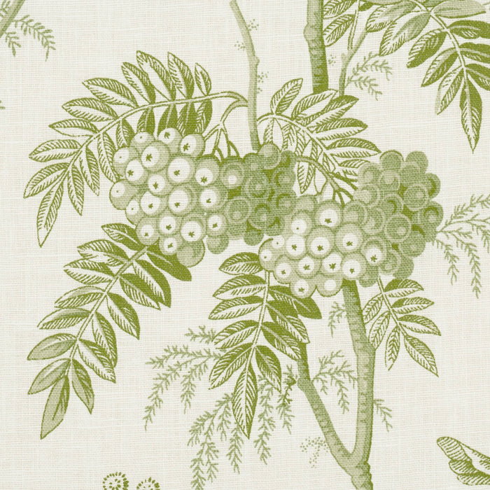 Schumacher Brantwood Vine Leaf Fabric Sample 174114