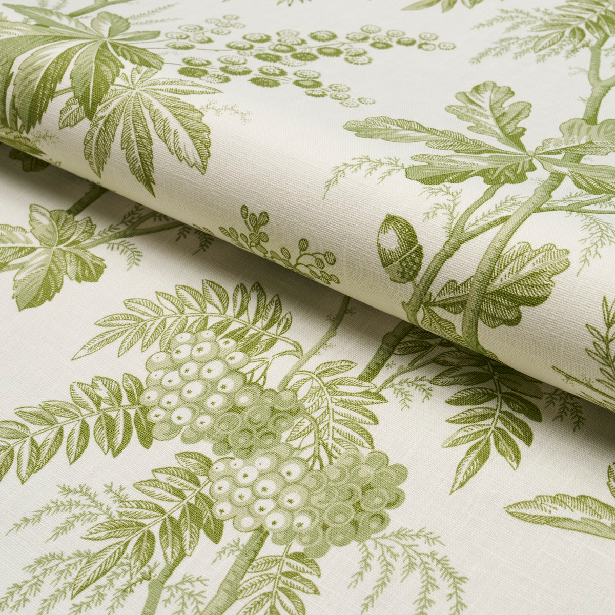 Schumacher Brantwood Vine Leaf Fabric 174114