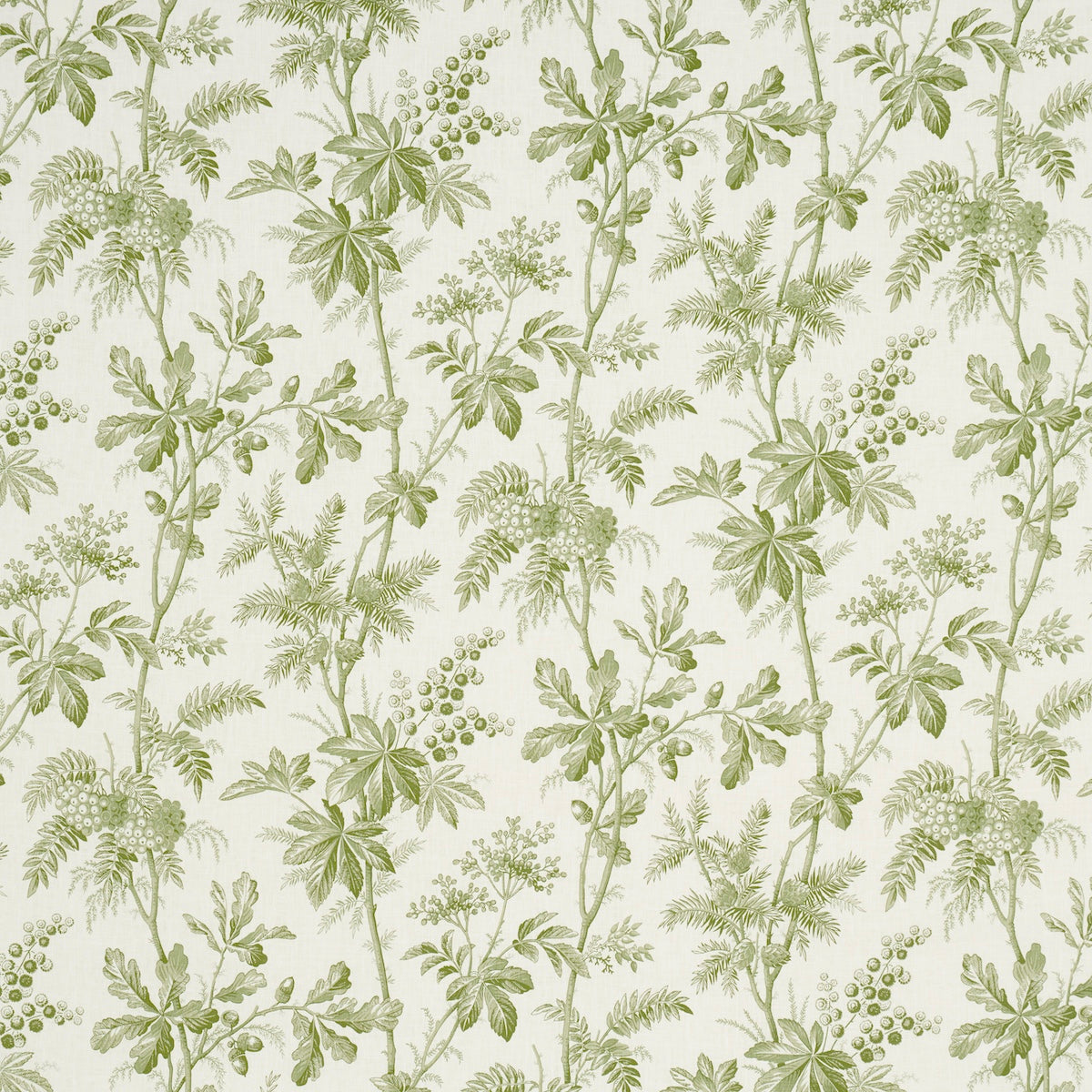 Schumacher Brantwood Vine Leaf Fabric Sample 174114