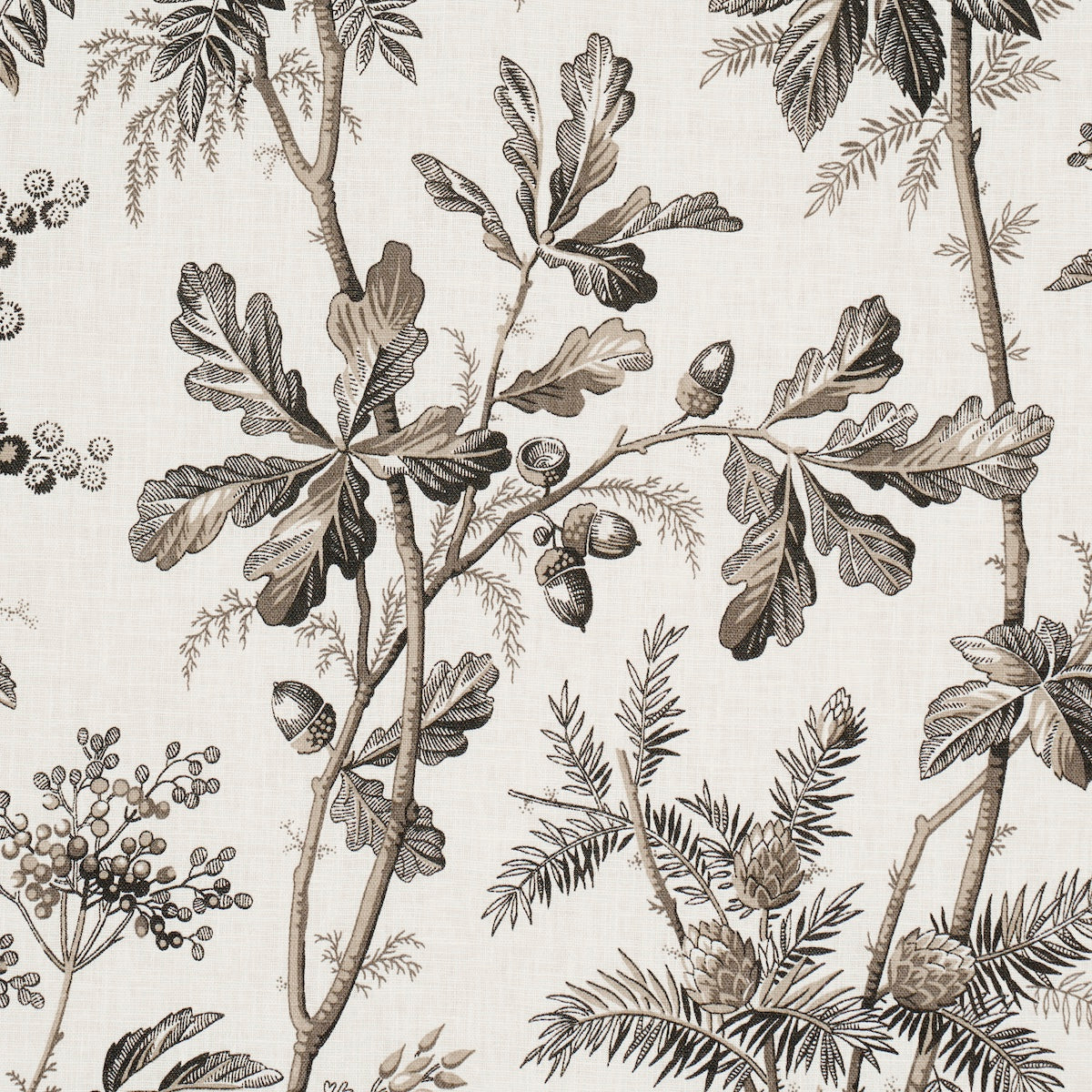 Schumacher Brantwood Vine Graphite Fabric 174115