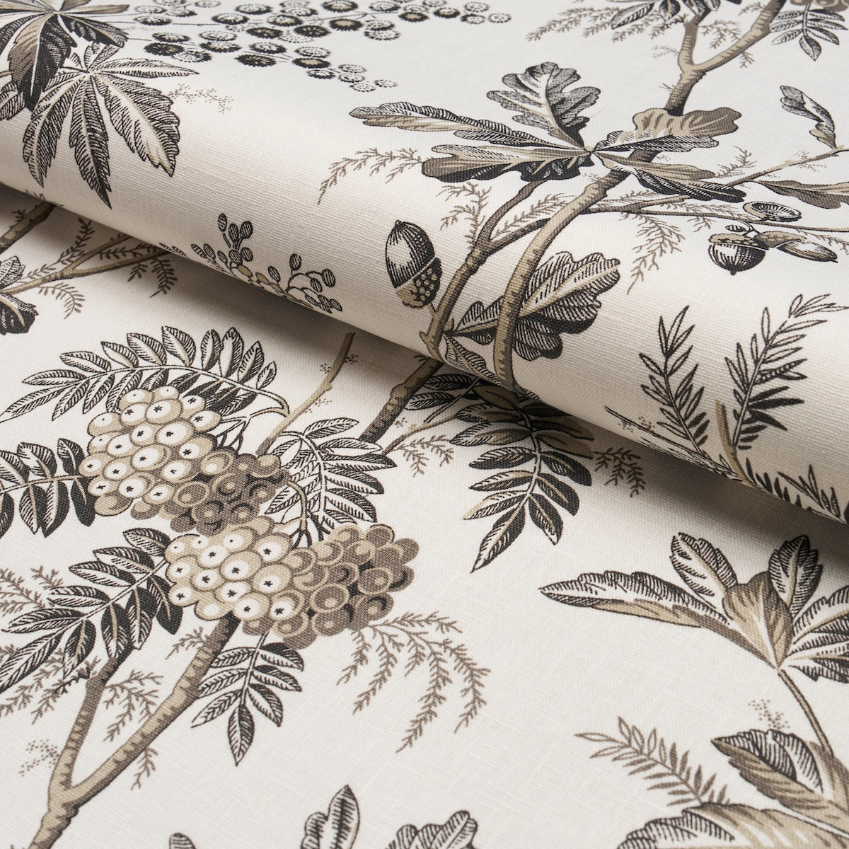 Schumacher Brantwood Vine Graphite Fabric 174115