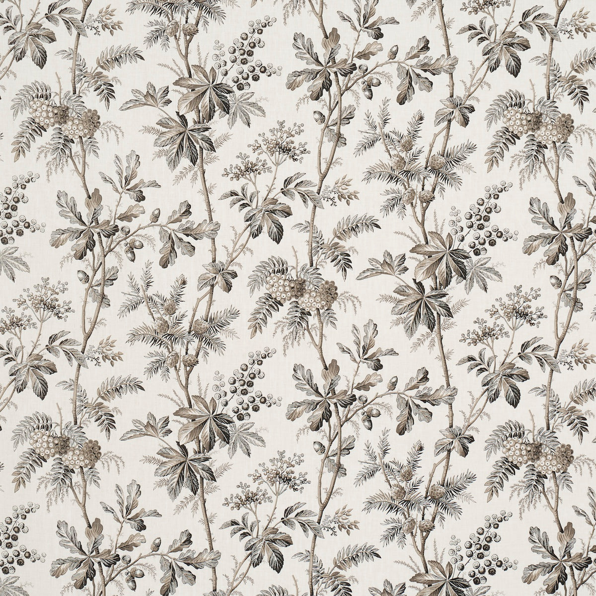 Schumacher Brantwood Vine Graphite Fabric 174115