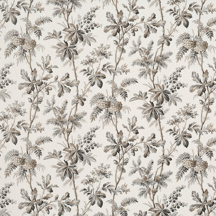 Schumacher Brantwood Vine Graphite Fabric 174115