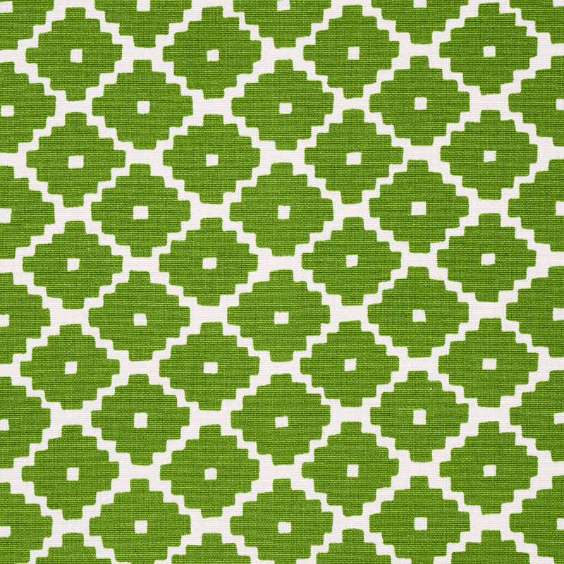 Schumacher Ziggurat Green Fabric Sample 174488