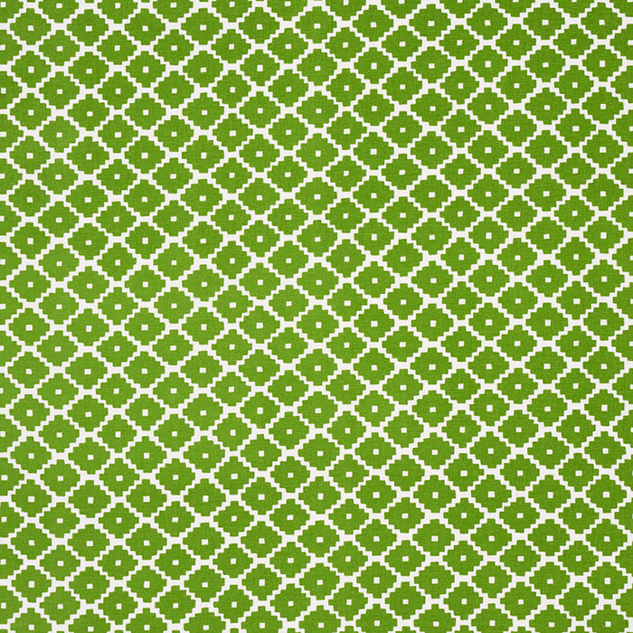 Schumacher Ziggurat Green Fabric Sample 174488