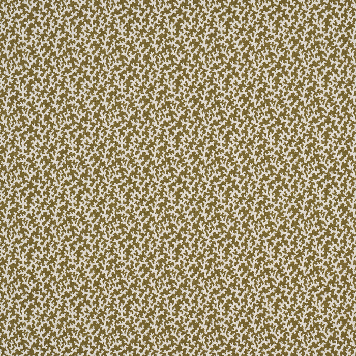 Schumacher Folly Olive Fabric 176129