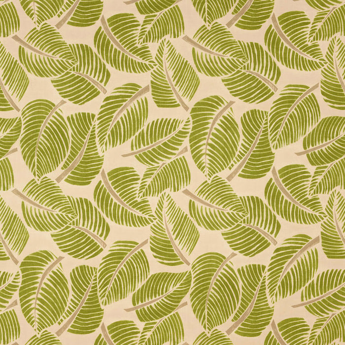 Schumacher Costa Rica Leaf Fabric Sample 176190