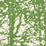 Schumacher Woodland Leaf Fabric Sample 176210