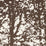 Schumacher Woodland Bark Fabric 176212