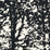 Schumacher Woodland Black Fabric 176213