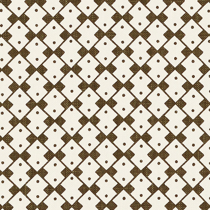 Schumacher Domino Salvador Fabric Sample 176292