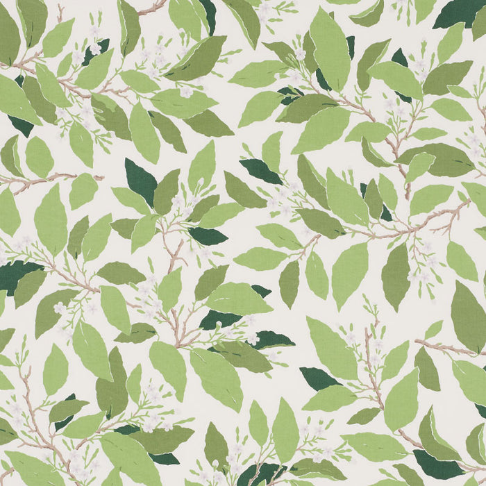 Schumacher Dogwood Leaf Ivory Fabric Sample 176520