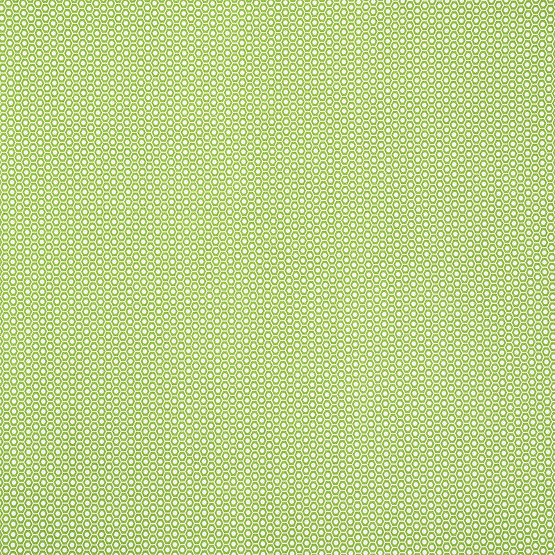 Schumacher Queen B II Indoor/Outdoor Green Fabric 176560