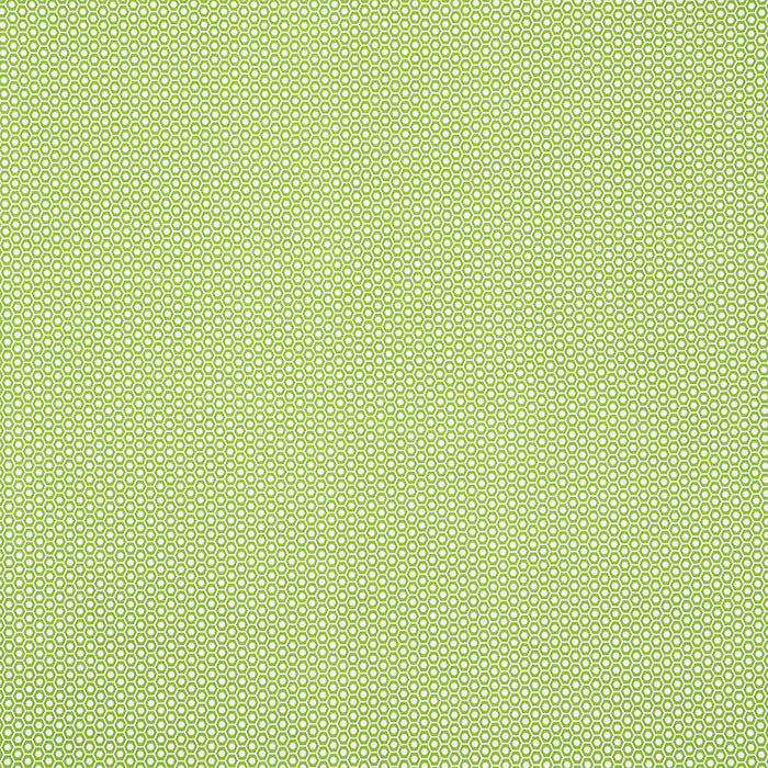 Schumacher Queen B II Indoor/Outdoor Green Fabric 176560